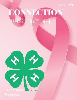 2023 October Parker Co. 4-H Connection