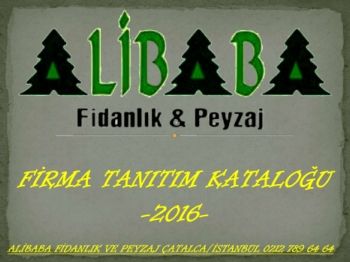 Alibaba Fidanlık Peyzaj 2016_Neat