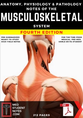 Musculoskeletal_System_-_4th_Ed
