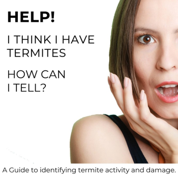 I.Think.I.Have.Termites