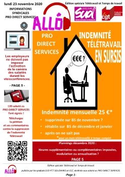 ALLO - L'INFORMATION SYNDICALE PRO DIRECT SERVICES SUD SOLIDAIRES CGT - NOVEMBRE DECEMBRE 2020