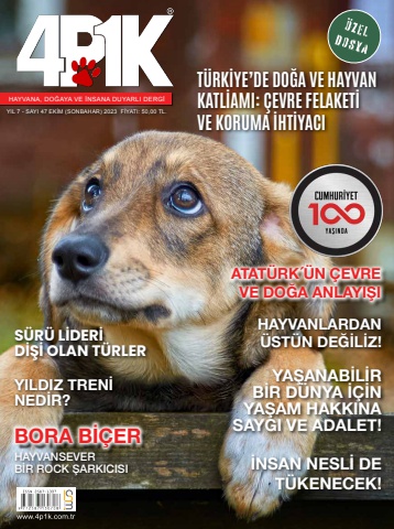 4P1K - ISSUE-47