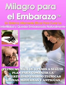 LIBRO: MILAGRO PARA EL EMBARAZO PDF | LISA  OLSON