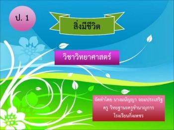 สิ่งมีชีวิต ป ๑