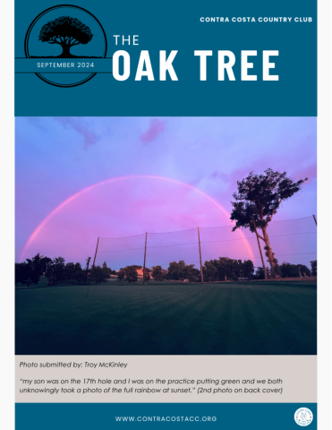 The Oak Tree, September 2024