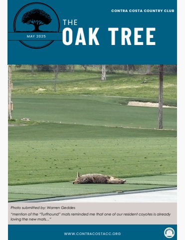 The Oak Tree, May 2025
