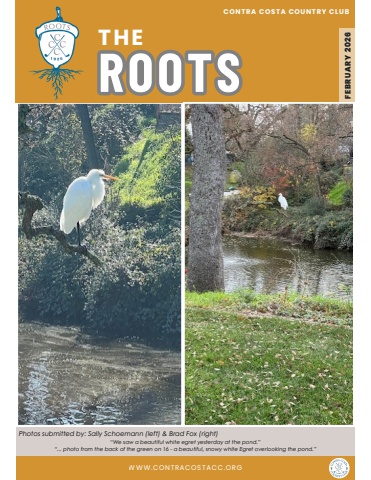 The Roots, February 2026 Edition