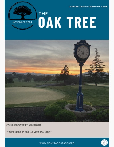 The Oak Tree, November 2024