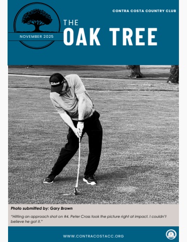The Oak Tree, November 2025 Edition