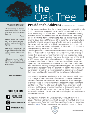 The Oak Tree, May 2023