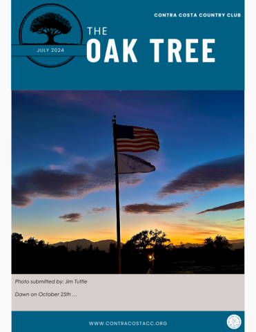 The Oak Tree, July 2025