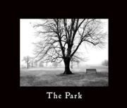 The Park