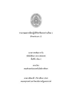 รายงานผลการฝึกปฏิบัติวิชาชีพระหว่างเรียน-1