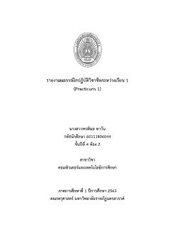 รายงานผลการฝึกปฏิบัติวิชาชีพระหว่างเรียน-1