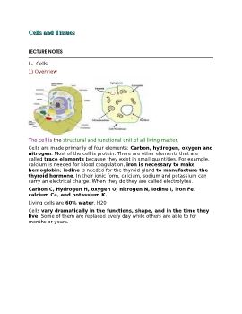 Chapter 3: Cells and Tissues