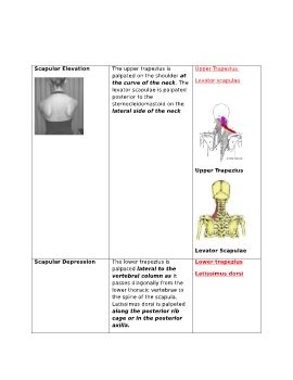 PALPATION OF MUSCLES OF THE UPPER LIMB                  9(1)