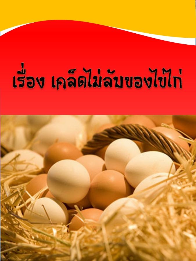 งานนำเสนอ PowerPoint