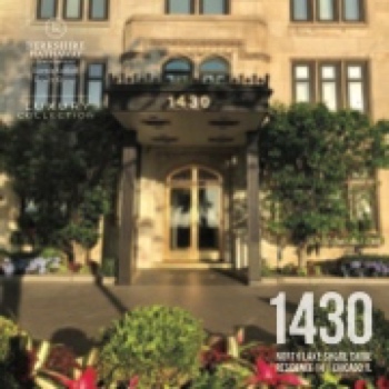 1430 N Lake Shore Drive 14