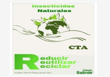 Insecticidas Naturales