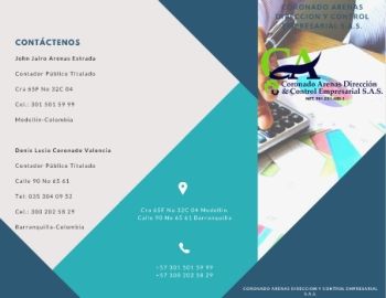 CORONADO ARENAS DIRECCION Y CONTROL EMPRESARIAL S.A.S. BROCHURE