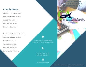 CORONADO ARENAS DIRECCION Y CONTROL EMPRESARIAL S.A.S. book