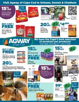 June Pet Flyer Final