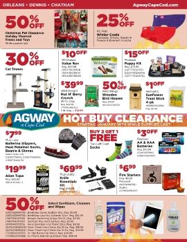 January Hot Buy Flyer