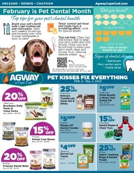 February Pet Digital Flyer