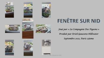 fenetre sur nid V1