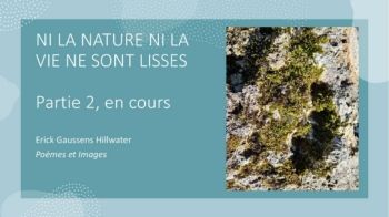 Ni la Nature ni la Vie ne sont Lisses 2