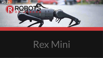 Rex Mini