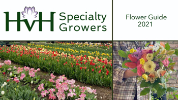 HvH Specialty Growers Flower Catalogue 2021_Spring-Autumn