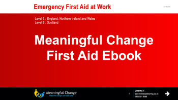 MC Emergency First Aid at Work Ebook V2.0