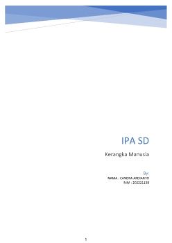IPA SD candra ardianto 138