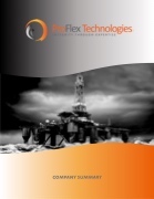 Company Summary Brochure