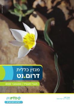 כללית - שכונת הפארק