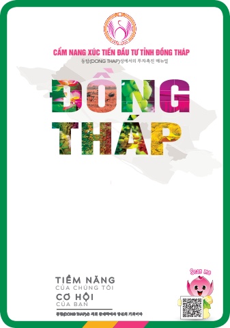 đầu tư đòng tháp