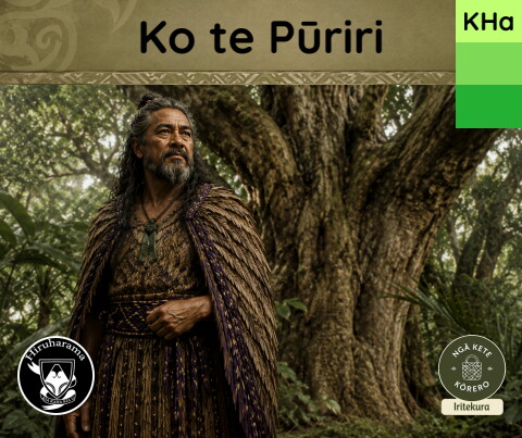 Ko te Pūriri