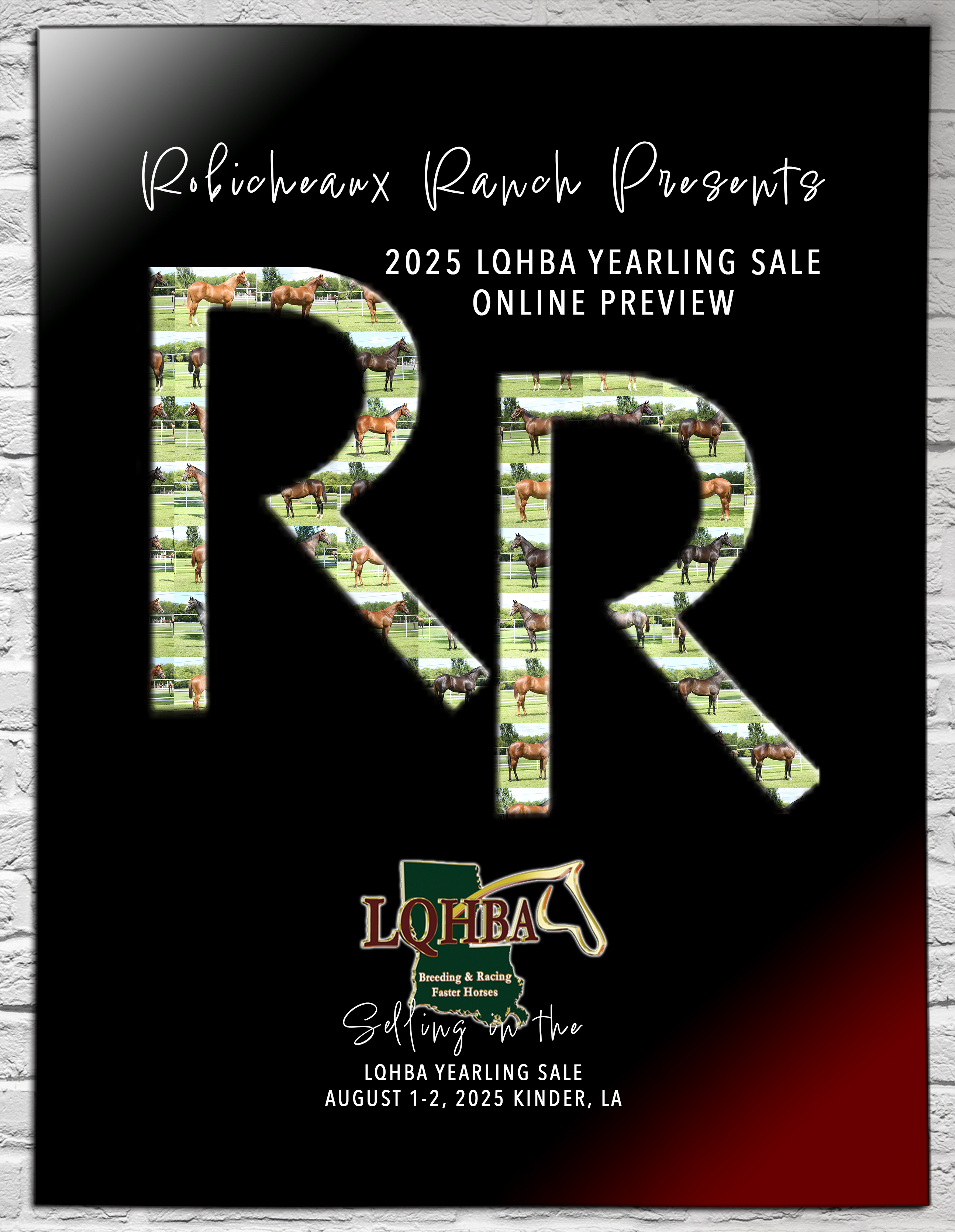 RRI 2025 LQHBA Yearling Preview