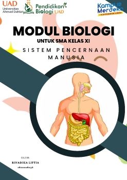 E-MODUL SISTEM PENCERNAAN MANUSIA