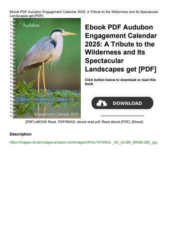 ebook pdf  audubon engagement calendar 2025 a tribute to the wilderness and its spectacular landscap
