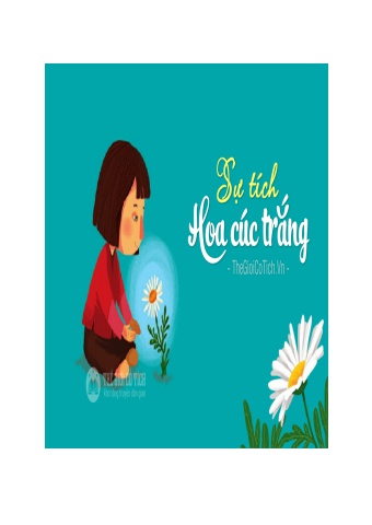 Bông hoa cúc trắng