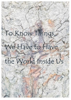 To know things we have to have the world inside us