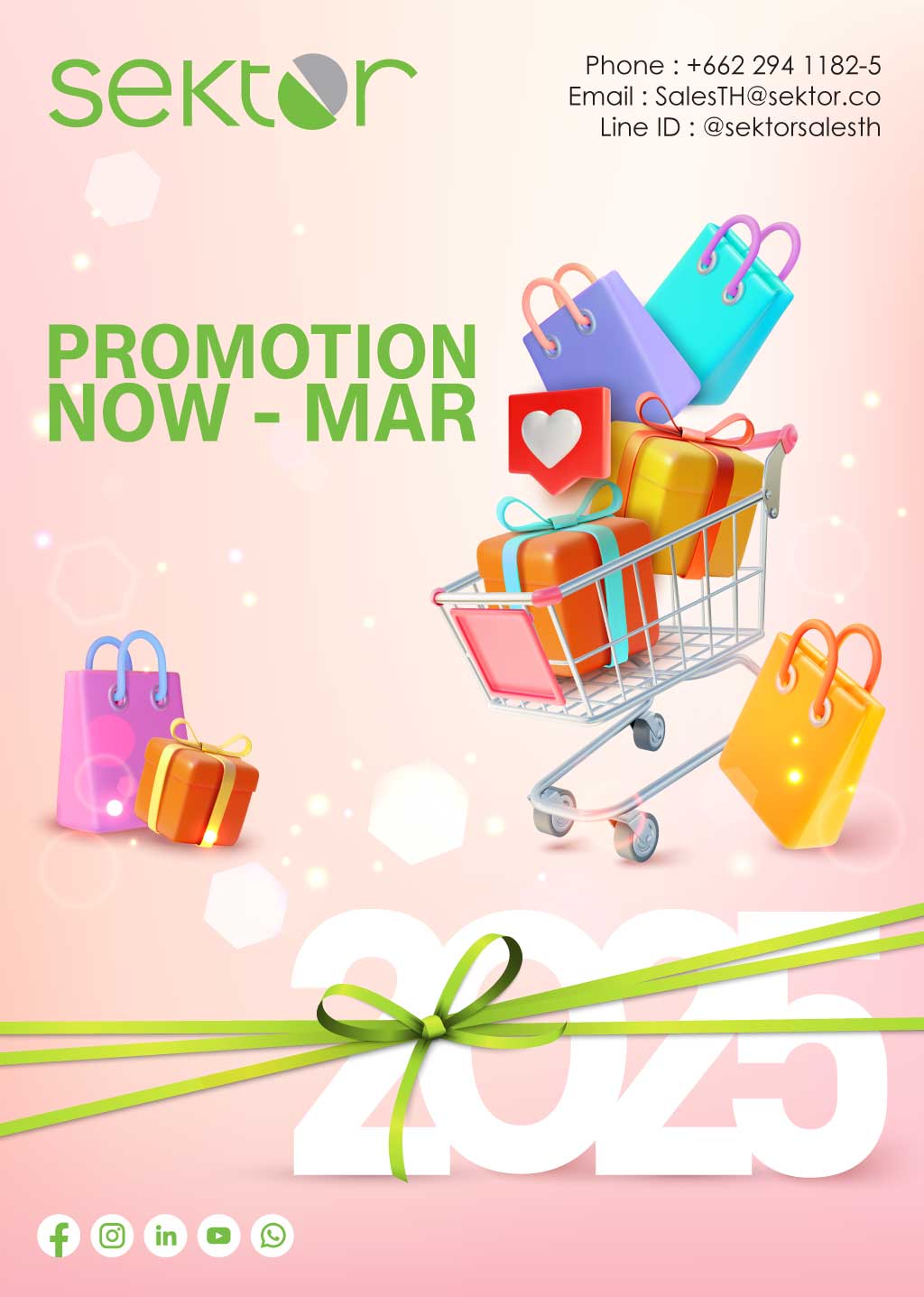 Sektor Promotion Q1 Y2025 [POS]