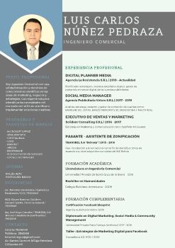 CV LUIS CARLOS NUÑEZ P.