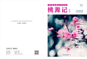 桃源记