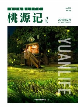 桃源记第二期20180717
