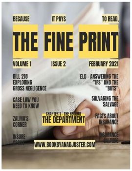 THE FINE PRINT VOL 1 ISSUE 2 FEB 2021