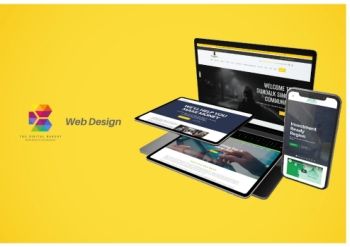 TDB Web Brochure