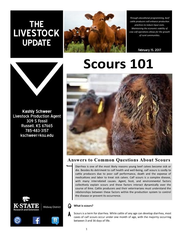 LivestockeNewsletter_Feb2017